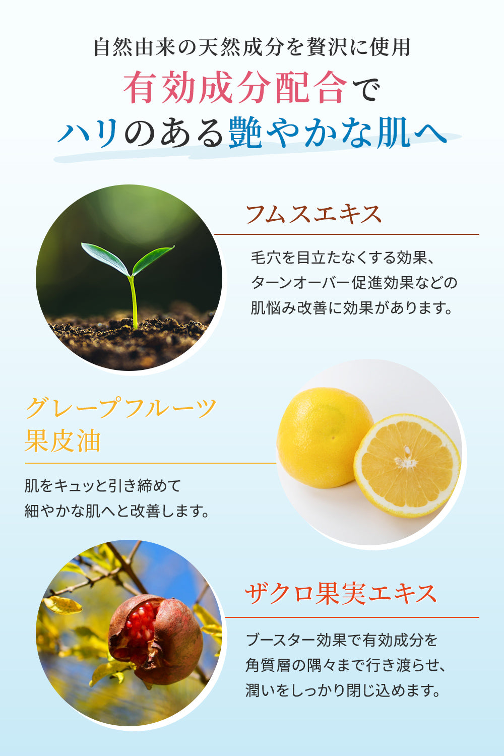 美容液 全身用 「オールオーバーエッセンス500mL」【お得な定期購入】5%OFF
