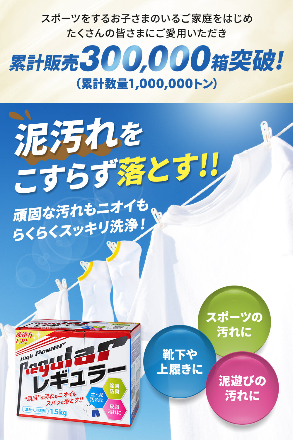 レギュラー　洗剤　小分け900g - 2